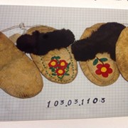 Cover image of Beaded Moccasins